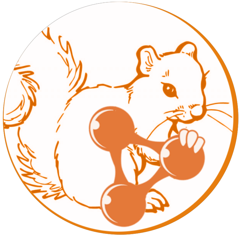 Squirrel logo